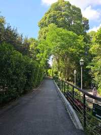 Strolling at Symphony Lake, Singapore Botanic Gardens