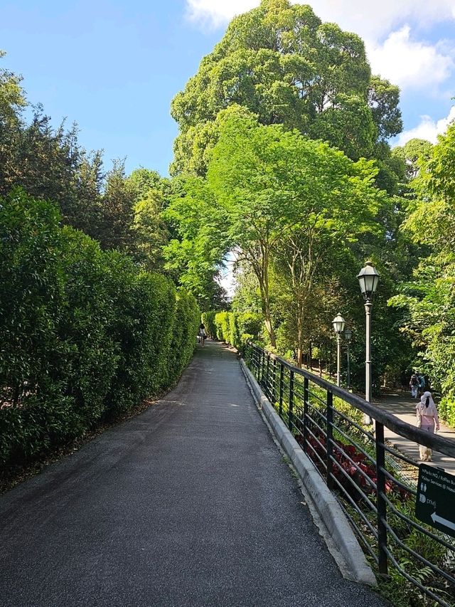 Strolling at Symphony Lake, Singapore Botanic Gardens