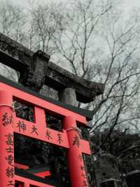 Fushimi Inari Taisha, Kyoto, Japan 🇯🇵 
