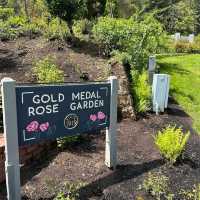 Portland International Rose Test Garden – Portland, OR