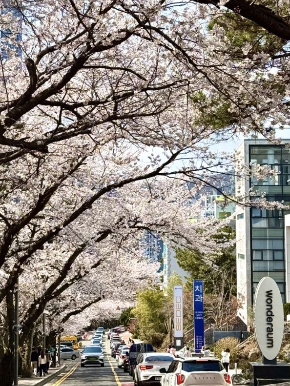 The Aftereffects of Coming Back from Busan... (Including a Travel Guide)
