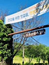 A Peaceful Solo Hike to Gyejoksan Fortress from Jangdongsan Forest Park