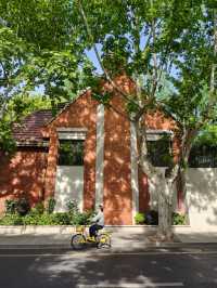 🌿✨ Shanghai Plane Tree Citywalk — A Stroll Through Hengshan Road (with Map!)