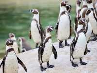 A Family Day Out at Lotherton Hall: Nature and Wildlife