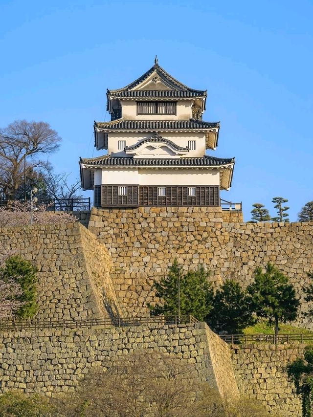 A Quick Stop for Gorgeous Views and History