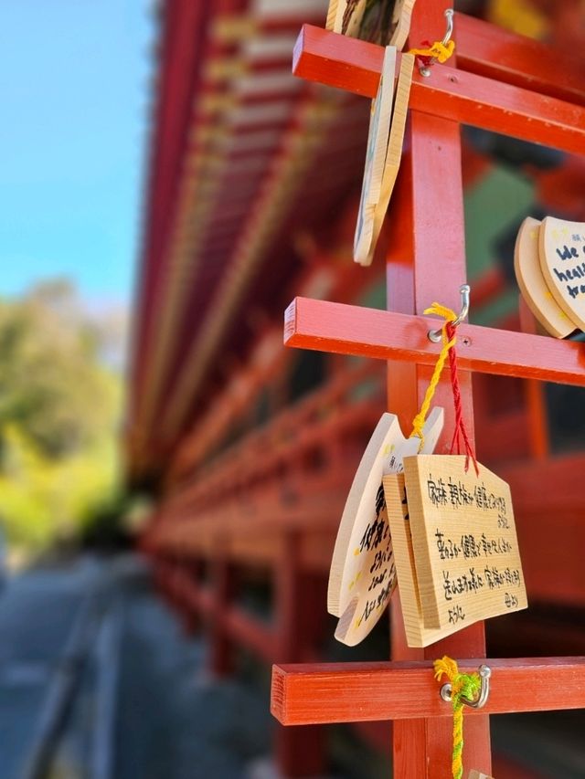โตเกียว One Day Trip ที่ Kamakura