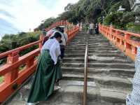 懸崖峭壁秘境傳說「鵜戶神宮」