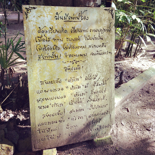 สวนโมกขพลาราม ฟังธรรม ท่านพุทธทาส 🙏🏻✨
