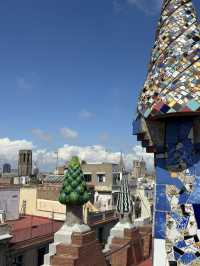 【バルセロナ】Works of Gaudi 🤍🇪🇸