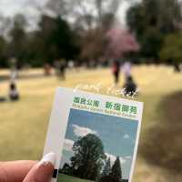 Shinjuku Gyoen – A Quiet Breath in the Heart of Tokyo