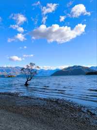 🇳🇿鈕西蘭 wanaka 4個必玩景點