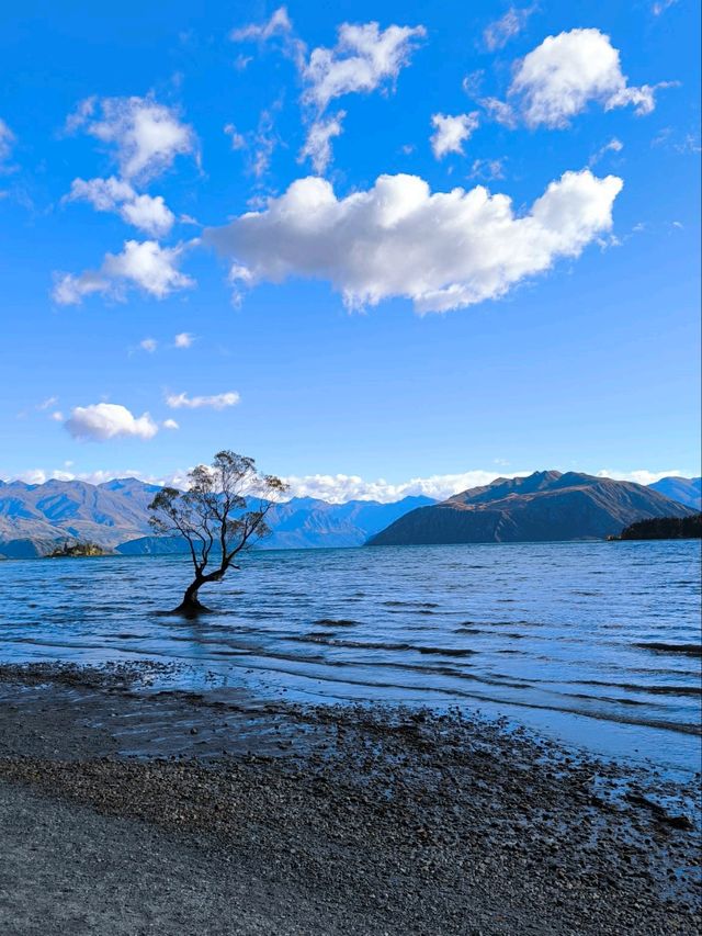 🇳🇿鈕西蘭 wanaka 4個必玩景點