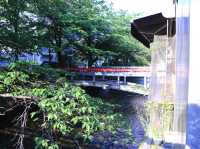 京都大阪日本之旅！