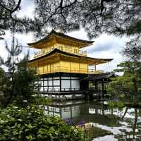 Gleaming Beauty: Experiencing Kinkaku-ji’s Golden Charm