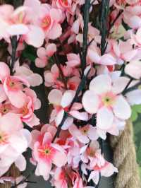 Sakura Symphony from Mount Yoshino’s Slopes