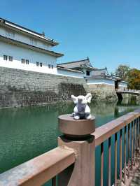 Kobe: Japan’s Port City of Elegance, Culture, and Flavors