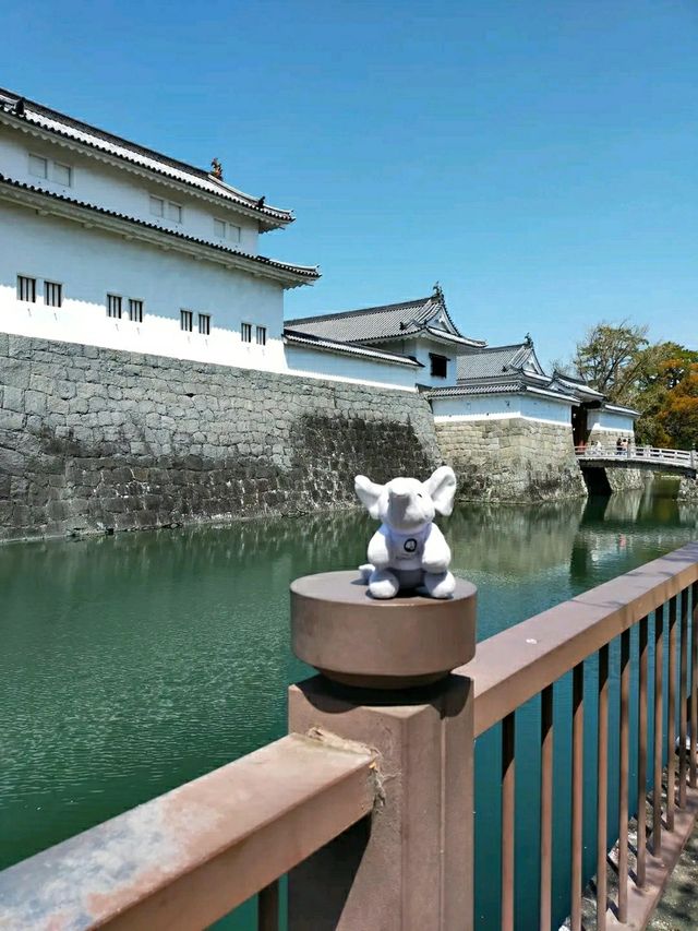 Kobe: Japan’s Port City of Elegance, Culture, and Flavors