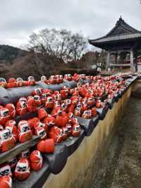 滿佈可愛達摩的勝尾寺