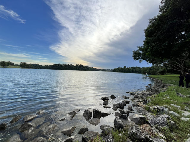 Lower Peirce Reservoir – Brisk Walks & Monkey Business