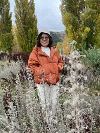 Trip New Zealand