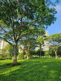 Bishan-Ang Mo Kio Park – One of Singapore’s Largest Urban Parks