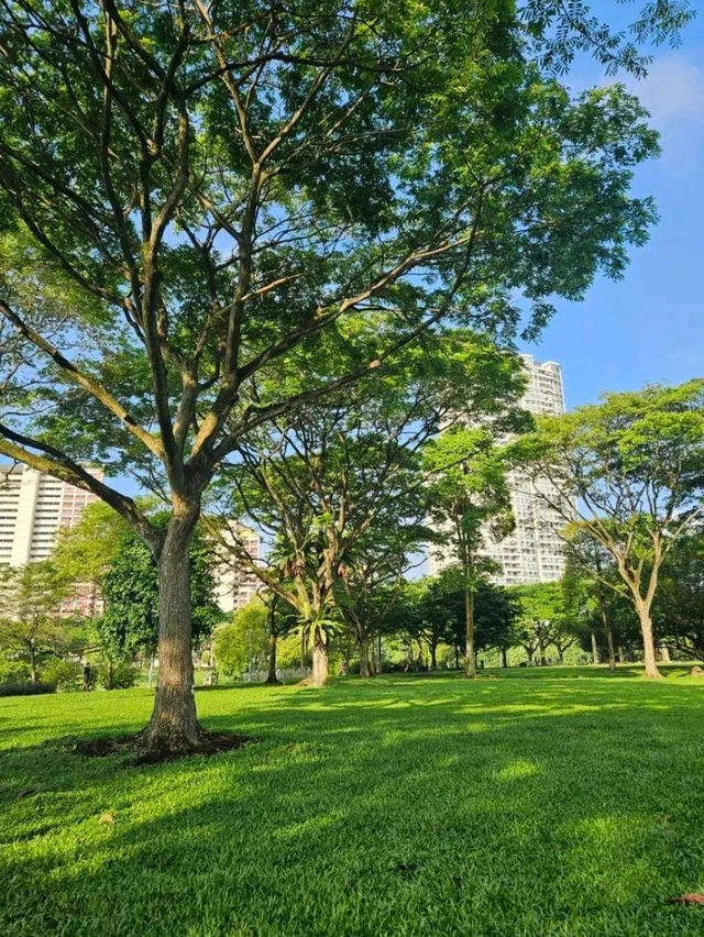 Bishan-Ang Mo Kio Park – One of Singapore’s Largest Urban Parks