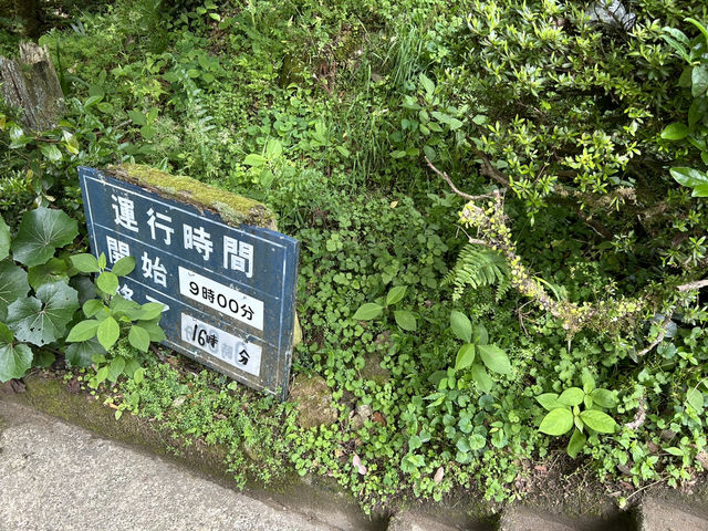 天翔記古城巡禮：津和野城（三本松城）