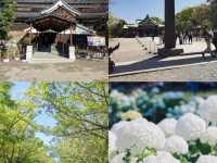 Castles, culture, and charm — discoverin
