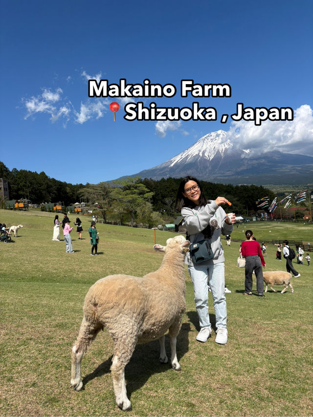 Makaino Farm 🐏🌾