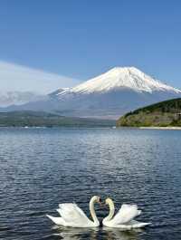 端午假期小旅行⛱️富士山三天兩夜自由行攻略🗻