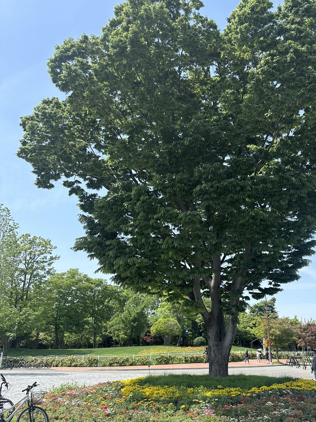 사계절 야외데이트 장소로 딱인 ’순천만국가정원’ 🌸🌿