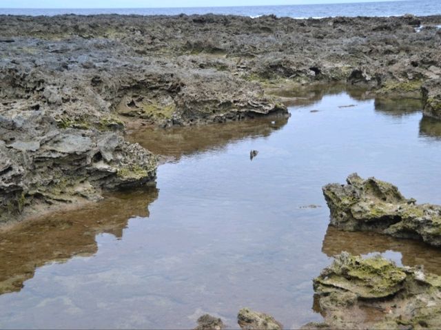 久米島で熱帯魚と出会えるスポット🐠✨