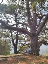 Conquering Mt. Pigingan: A Benguet Adventure