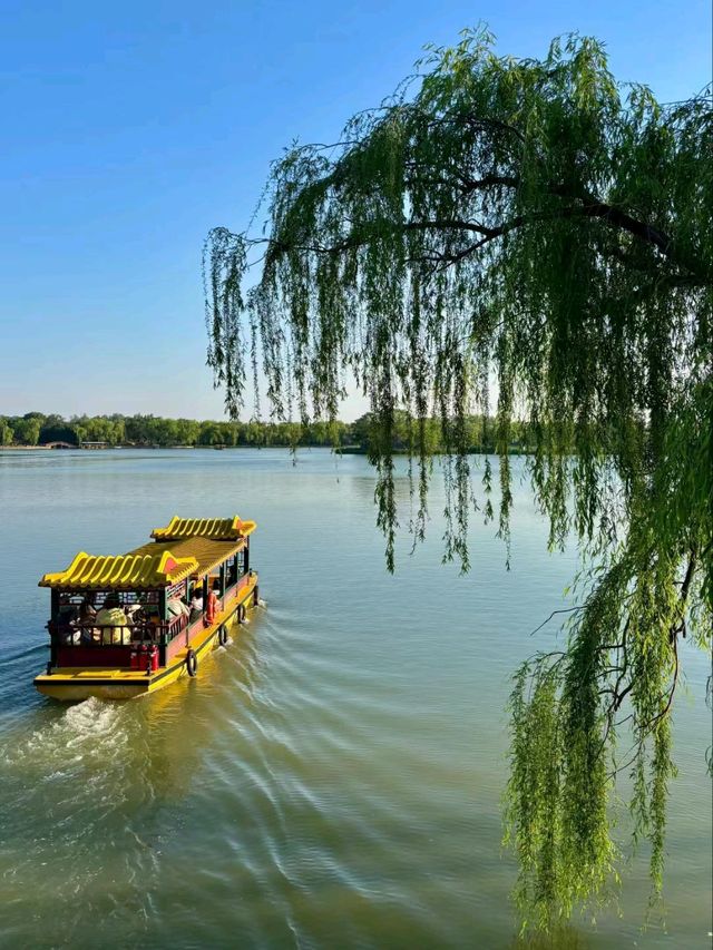 Whispers of the Past: A Journey Through the Old Summer Palace