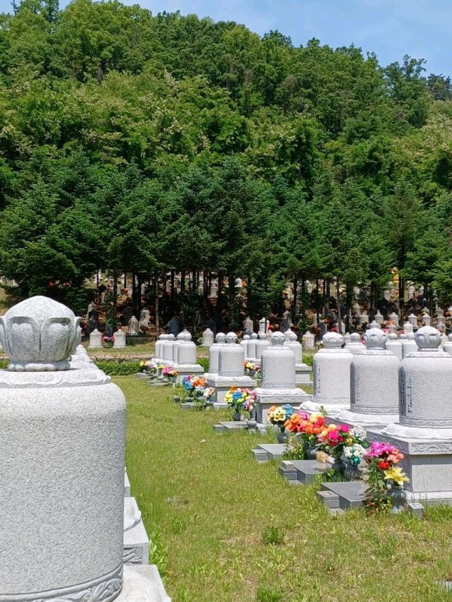 만불사의 거대한 예술 전시관 같은 풍경