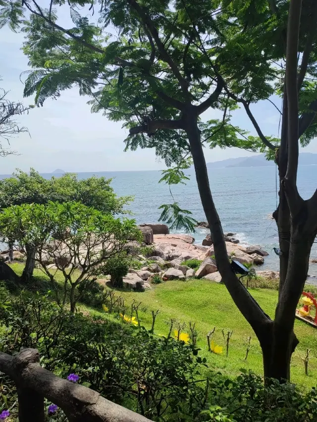 Coastal View and Photo Spots