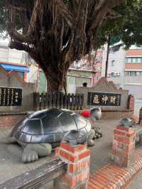 宜蘭龜山島賞鯨