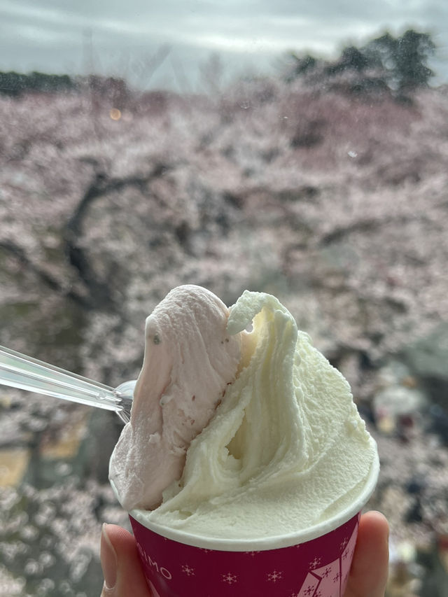 하코다테 혼자 여행🫶