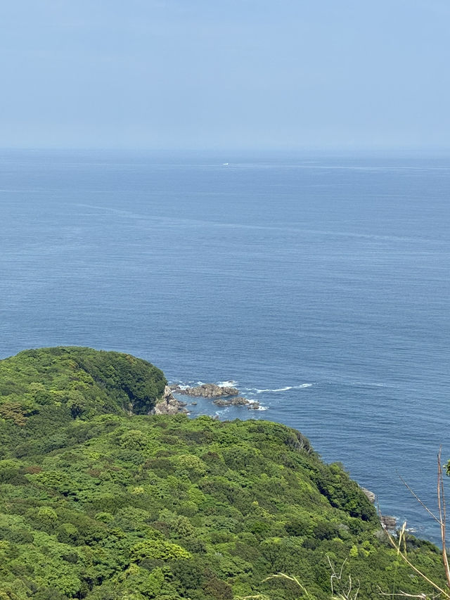 新八屋さんの旅行日記