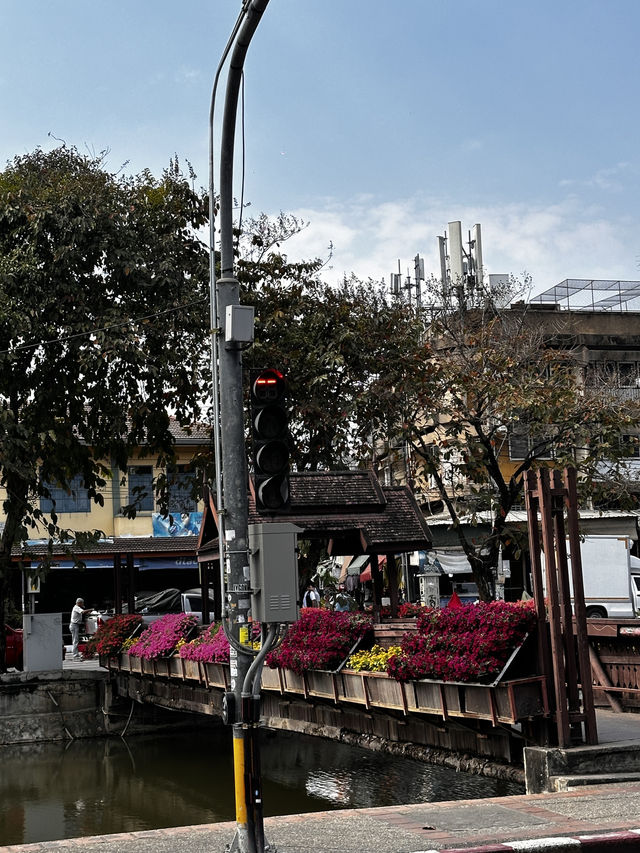 Popular local restaurants in chiang mai 