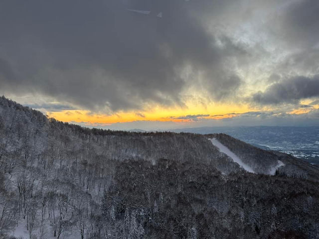 藏王雪山與浪漫仙子紫藤花