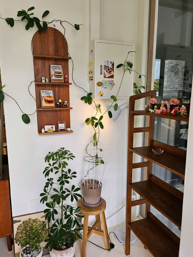 🫶🏻고양 삼송역 창릉천🌲온화사계