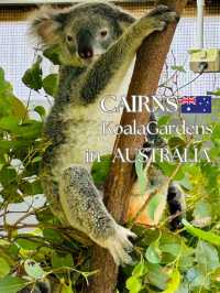 キュランダコアラガーデンズ🐨