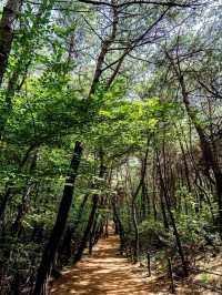 Climbing Gyeongju’s Namsan Geumobong Peak