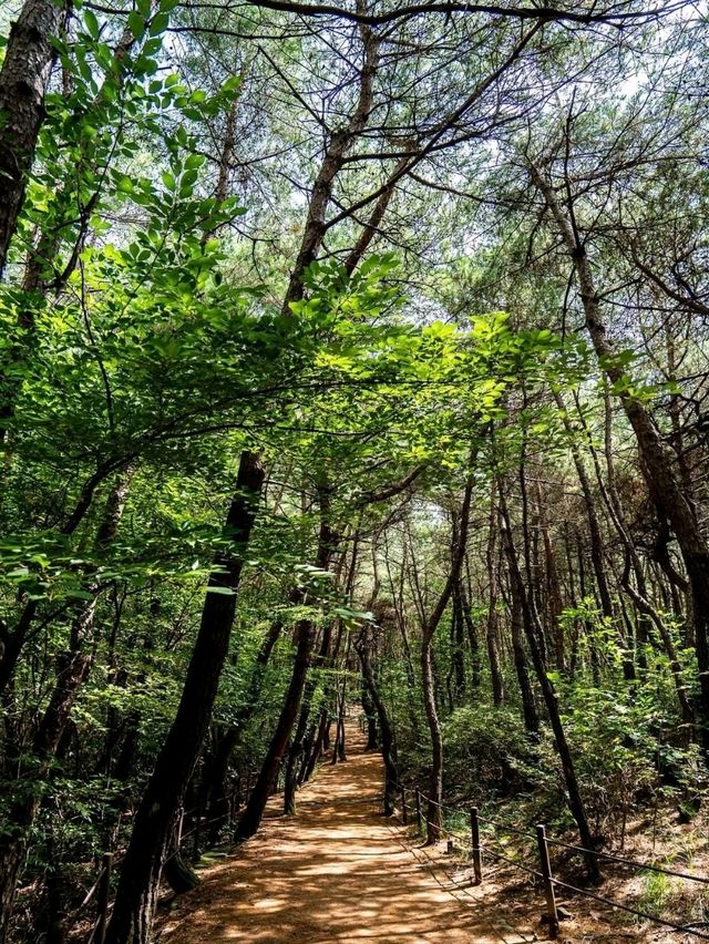 Climbing Gyeongju’s Namsan Geumobong Peak