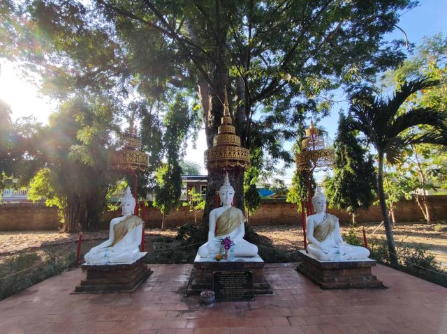 พามากราบสักการะหลวงพ่อขาวอายุ 600 กว่าปี