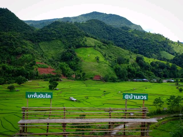 🌾นาขั้นบันได บ้านเวร จ.น่าน🌾