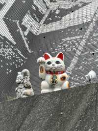 名古屋常滑招財貓