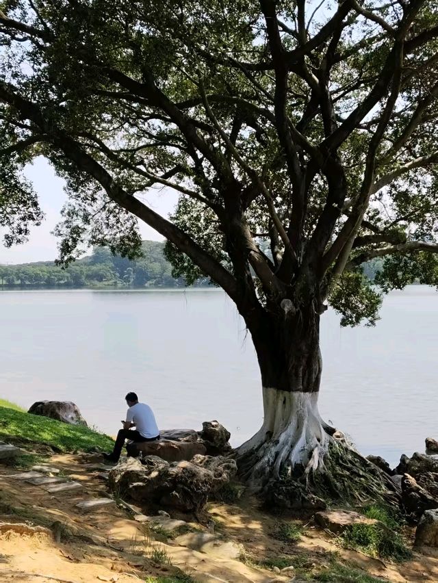 🏞️ 松山湖生態園區