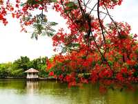自然の美しさと静けさを感じる旅、スリナーク・クアンカン植物園へようこそ🌿🌺